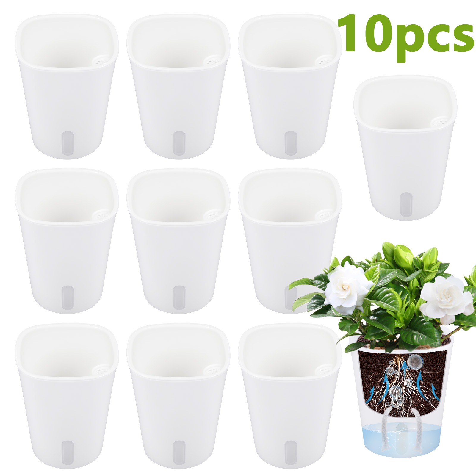 Aloe Vera Pot - 10 Peças de Vaso de Plástico