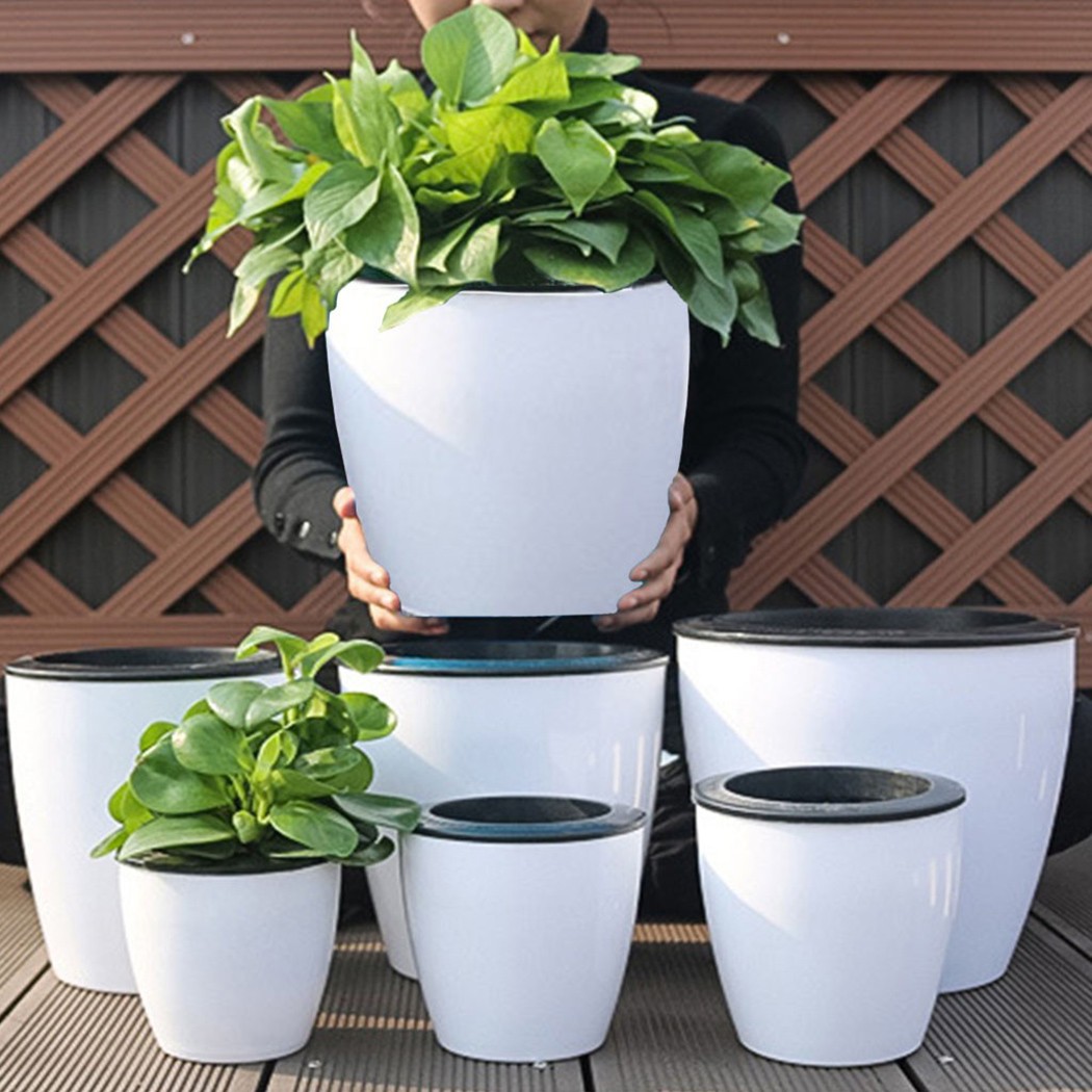 Aloe Vera Pot - Vaso Automático de Plantas de Rega,