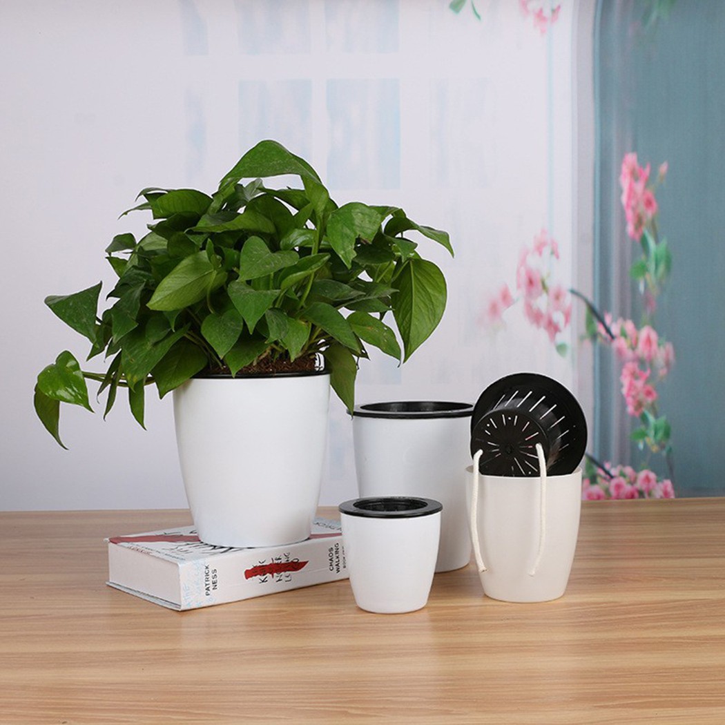 Vaso Automático de Plantas de  - Aloe Vera Pot avaliação e preço