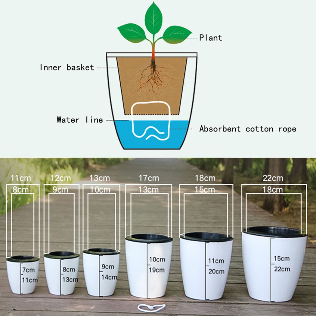 Vaso Automático de Plantas de  - Aloe Vera Pot avaliação e preço