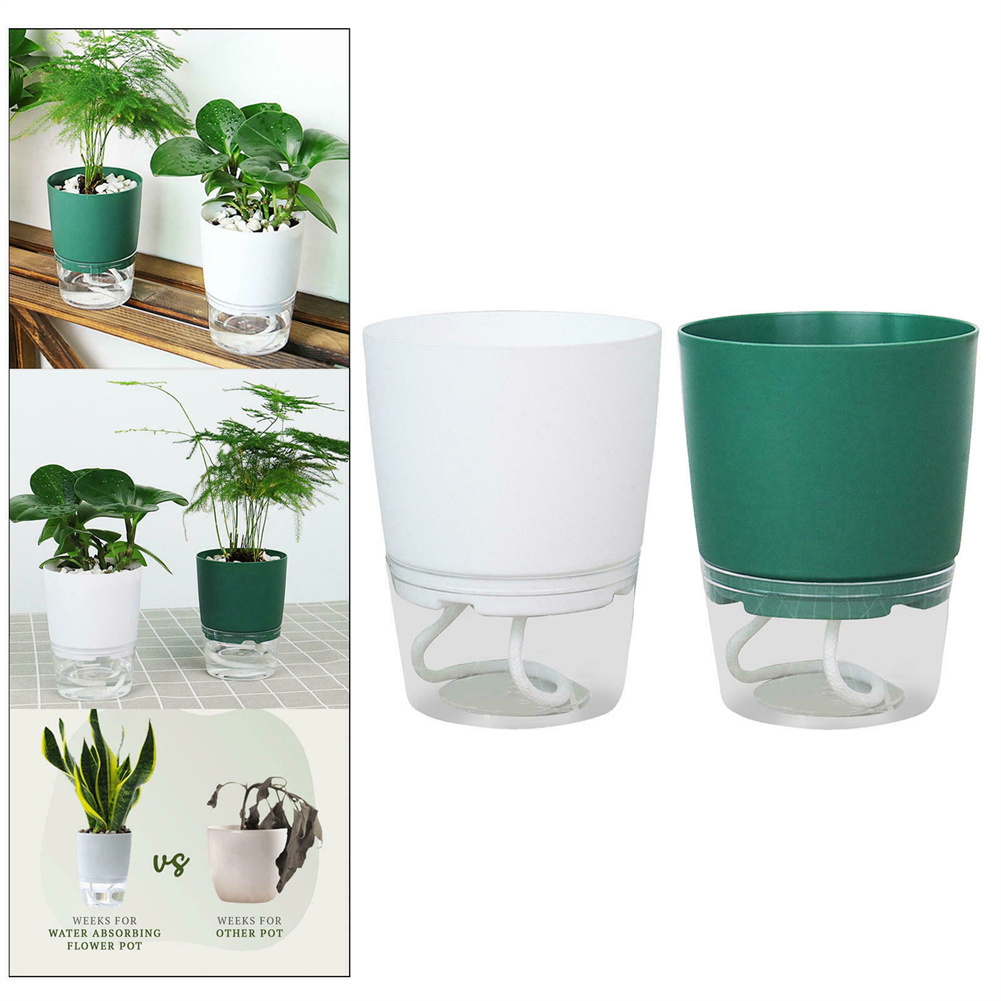 Vaso de flores hidropônico pre - Aloe Vera Pot avaliação e preço