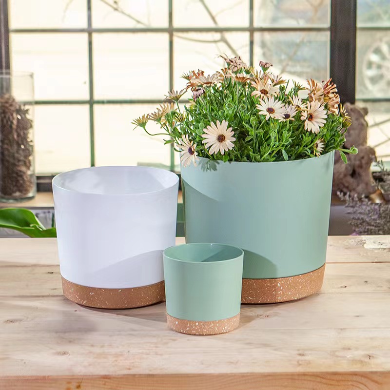 Vasos para plantas, vasos gran - Aloe Vera Pot avaliação e preço