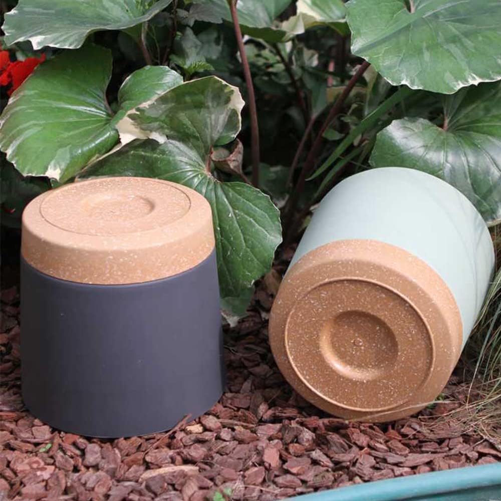 Vasos para plantas, vasos gran - Aloe Vera Pot avaliação e preço