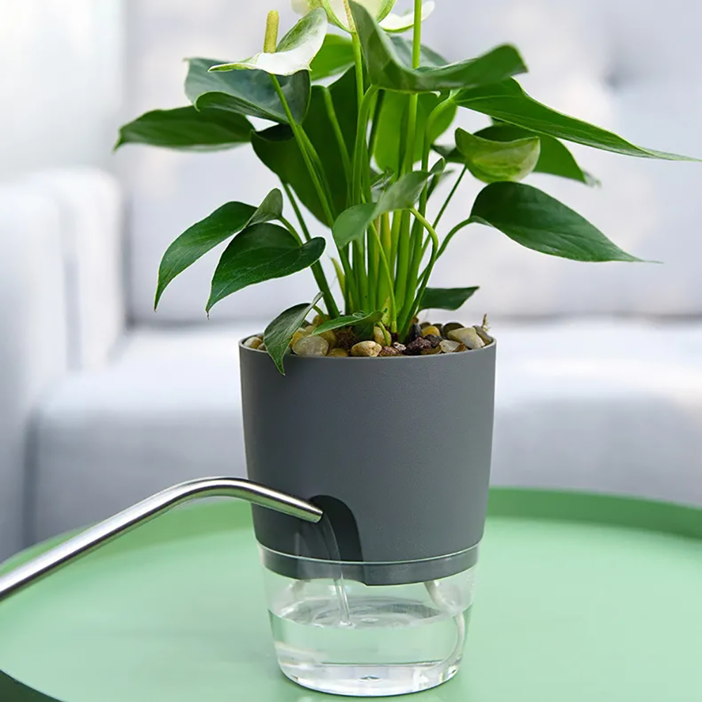 Vaso de flores de plástico tra - Aloe Vera Pot avaliação e preço